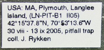 Media type: image;   Entomology 600429 Aspect: labels